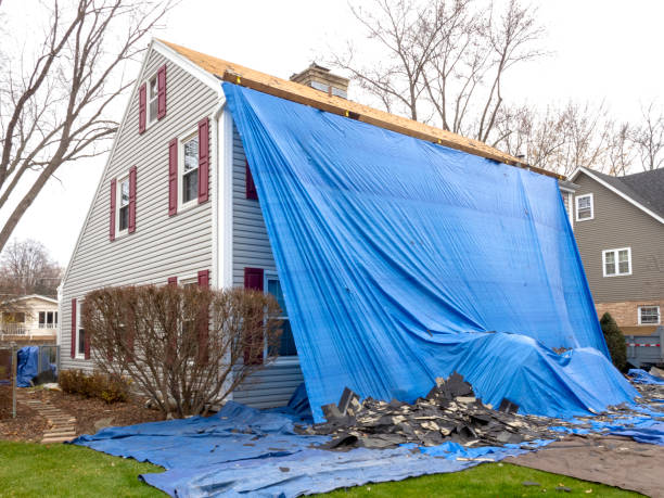 Best Historical Building Siding Restoration  in Sylvania, OH