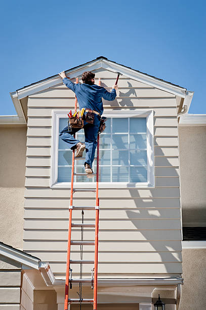 Best Stone Veneer Siding  in Sylvania, OH